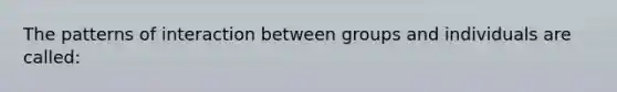 The patterns of interaction between groups and individuals are called: