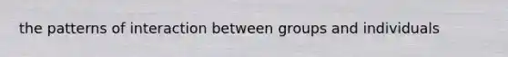 the patterns of interaction between groups and individuals