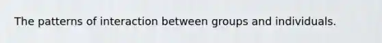 The patterns of interaction between groups and individuals.