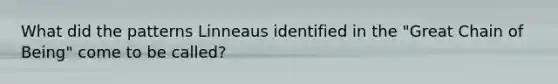 What did the patterns Linneaus identified in the "Great Chain of Being" come to be called?