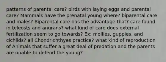 patterns of parental care? birds with laying eggs and parental care? Mammals have the prenatal young where? biparental care and males? Biparental care has the advantage that? care found in teleosts and anurans? what kind of care does external fertilization seem to go towards? Ex; mollies, guppies, and cichlids? all Chondrichthyes practice? what kind of reproduction of Animals that suffer a great deal of predation and the parents are unable to defend the young?