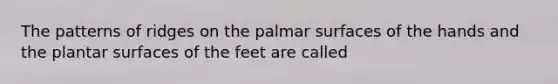 The patterns of ridges on the palmar surfaces of the hands and the plantar surfaces of the feet are called