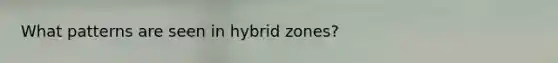 What patterns are seen in hybrid zones?