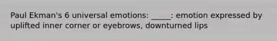 Paul Ekman's 6 universal emotions: _____: emotion expressed by uplifted inner corner or eyebrows, downturned lips