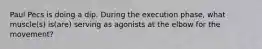 Paul Pecs is doing a dip. During the execution phase, what muscle(s) is(are) serving as agonists at the elbow for the movement?