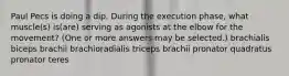 Paul Pecs is doing a dip. During the execution phase, what muscle(s) is(are) serving as agonists at the elbow for the movement? (One or more answers may be selected.) brachialis biceps brachii brachioradialis triceps brachii pronator quadratus pronator teres