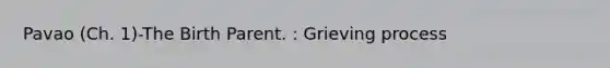 Pavao (Ch. 1)-The Birth Parent. : Grieving process