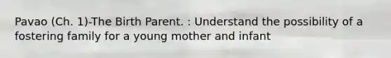 Pavao (Ch. 1)-The Birth Parent. : Understand the possibility of a fostering family for a young mother and infant