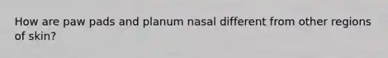 How are paw pads and planum nasal different from other regions of skin?
