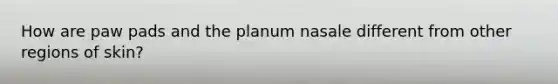 How are paw pads and the planum nasale different from other regions of skin?