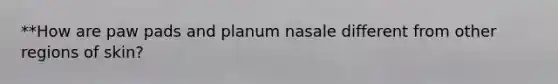**How are paw pads and planum nasale different from other regions of skin?