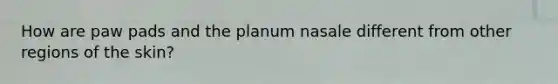 How are paw pads and the planum nasale different from other regions of the skin?
