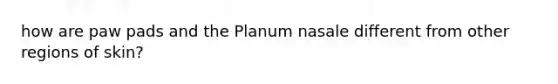 how are paw pads and the Planum nasale different from other regions of skin?