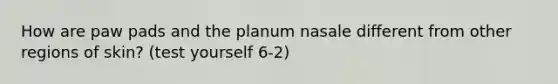 How are paw pads and the planum nasale different from other regions of skin? (test yourself 6-2)