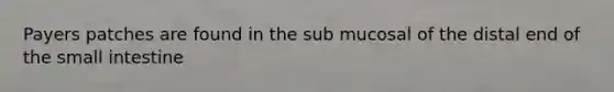 Payers patches are found in the sub mucosal of the distal end of the small intestine