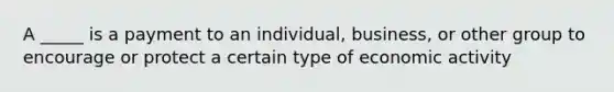 A _____ is a payment to an individual, business, or other group to encourage or protect a certain type of economic activity