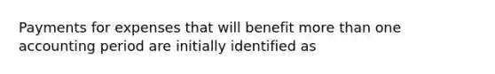 Payments for expenses that will benefit more than one accounting period are initially identified as