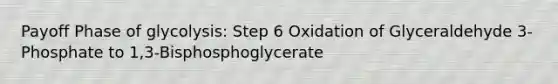 Payoff Phase of glycolysis: Step 6 Oxidation of Glyceraldehyde 3-Phosphate to 1,3-Bisphosphoglycerate