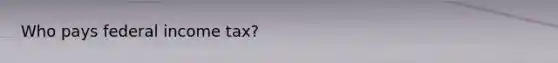 Who pays federal income tax?