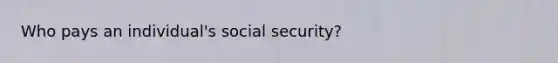 Who pays an individual's social security?