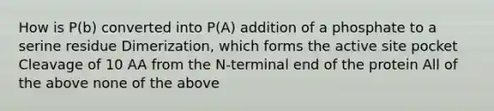 How is P(b) converted into P(A) addition of a phosphate to a serine residue Dimerization, which forms the active site pocket Cleavage of 10 AA from the N-terminal end of the protein All of the above none of the above