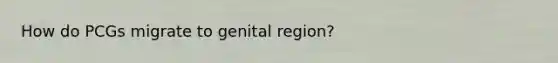 How do PCGs migrate to genital region?