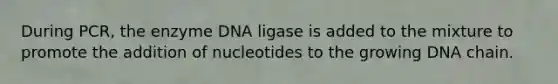 During PCR, the enzyme DNA ligase is added to the mixture to promote the addition of nucleotides to the growing DNA chain.