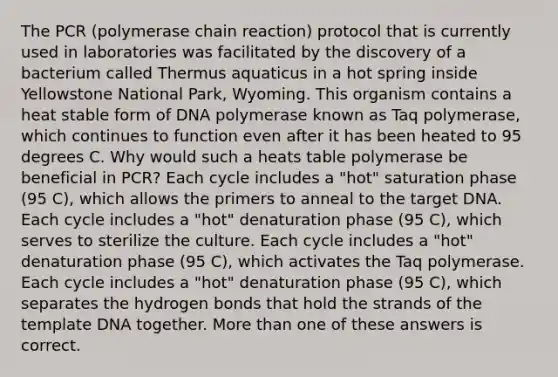 The PCR (polymerase chain reaction) protocol that is currently used in laboratories was facilitated by the discovery of a bacterium called Thermus aquaticus in a hot spring inside Yellowstone National Park, Wyoming. This organism contains a heat stable form of DNA polymerase known as Taq polymerase, which continues to function even after it has been heated to 95 degrees C. Why would such a heats table polymerase be beneficial in PCR? Each cycle includes a "hot" saturation phase (95 C), which allows the primers to anneal to the target DNA. Each cycle includes a "hot" denaturation phase (95 C), which serves to sterilize the culture. Each cycle includes a "hot" denaturation phase (95 C), which activates the Taq polymerase. Each cycle includes a "hot" denaturation phase (95 C), which separates the hydrogen bonds that hold the strands of the template DNA together. More than one of these answers is correct.