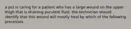 a pct is caring for a patient who has a large wound on the upper thigh that is draining purulent fluid. the technician should identify that this wound will mostly heal by which of the following processes