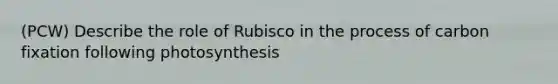 (PCW) Describe the role of Rubisco in the process of carbon fixation following photosynthesis