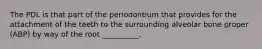 The PDL is that part of the periodontium that provides for the attachment of the teeth to the surrounding alveolar bone proper (ABP) by way of the root __________.