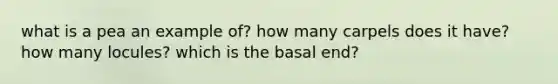 what is a pea an example of? how many carpels does it have? how many locules? which is the basal end?