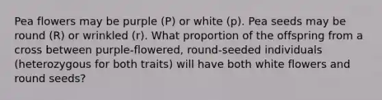 Pea flowers may be purple (P) or white (p). Pea seeds may be round (R) or wrinkled (r). What proportion of the offspring from a cross between purple-flowered, round-seeded individuals (heterozygous for both traits) will have both white flowers and round seeds?