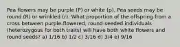 Pea flowers may be purple (P) or white (p). Pea seeds may be round (R) or wrinkled (r). What proportion of the offspring from a cross between purple-flowered, round-seeded individuals (heterozygous for both traits) will have both white flowers and round seeds? a) 1/16 b) 1/2 c) 3/16 d) 3/4 e) 9/16