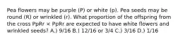 Pea flowers may be purple (P) or white (p). Pea seeds may be round (R) or wrinkled (r). What proportion of the offspring from the cross PpRr × PpRr are expected to have white flowers and wrinkled seeds? A.) 9/16 B.) 12/16 or 3/4 C.) 3/16 D.) 1/16