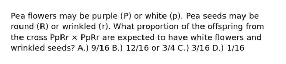 Pea flowers may be purple (P) or white (p). Pea seeds may be round (R) or wrinkled (r). What proportion of the offspring from the cross PpRr × PpRr are expected to have white flowers and wrinkled seeds? A.) 9/16 B.) 12/16 or 3/4 C.) 3/16 D.) 1/16