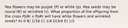 Pea flowers may be purple (P) or white (p). Pea seeds may be round (R) or wrinkled (r). What proportion of the offspring from the cross PpRr x PpRr will have white flowers and wrinkled seeds? A) 0 B) 1/16 C) 1/4 D)3/4 E) 1/2