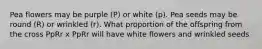 Pea flowers may be purple (P) or white (p). Pea seeds may be round (R) or wrinkled (r). What proportion of the offspring from the cross PpRr x PpRr will have white flowers and wrinkled seeds