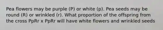 Pea flowers may be purple (P) or white (p). Pea seeds may be round (R) or wrinkled (r). What proportion of the offspring from the cross PpRr x PpRr will have white flowers and wrinkled seeds