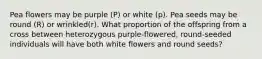 Pea flowers may be purple (P) or white (p). Pea seeds may be round (R) or wrinkled(r). What proportion of the offspring from a cross between heterozygous purple-flowered, round-seeded individuals will have both white flowers and round seeds?