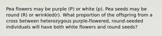 Pea flowers may be purple (P) or white (p). Pea seeds may be round (R) or wrinkled(r). What proportion of the offspring from a cross between heterozygous purple-flowered, round-seeded individuals will have both white flowers and round seeds?