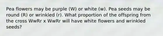 Pea flowers may be purple (W) or white (w). Pea seeds may be round (R) or wrinkled (r). What proportion of the offspring from the cross WwRr x WwRr will have white flowers and wrinkled seeds?