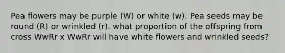 Pea flowers may be purple (W) or white (w). Pea seeds may be round (R) or wrinkled (r). what proportion of the offspring from cross WwRr x WwRr will have white flowers and wrinkled seeds?