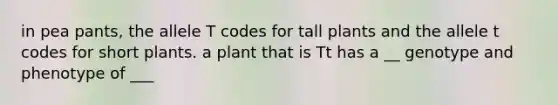 in pea pants, the allele T codes for tall plants and the allele t codes for short plants. a plant that is Tt has a __ genotype and phenotype of ___