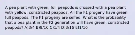 A pea plant with green, full peapods is crossed with a pea plant with yellow, constricted peapods. All the F1 progeny have green, full peapods. The F1 progeny are selfed. What is the probability that a pea plant in the F2 generation will have green, constricted peapods? A)3/4 B)9/16 C)1/4 D)3/16 E)1/16