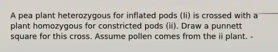 A pea plant heterozygous for inflated pods (Ii) is crossed with a plant homozygous for constricted pods (ii). Draw a punnett square for this cross. Assume pollen comes from the ii plant. -