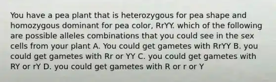 You have a pea plant that is heterozygous for pea shape and homozygous dominant for pea color, RrYY. which of the following are possible alleles combinations that you could see in the sex cells from your plant A. You could get gametes with RrYY B. you could get gametes with Rr or YY C. you could get gametes with RY or rY D. you could get gametes with R or r or Y