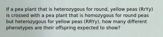 If a pea plant that is heterozygous for round, yellow peas (RrYy) is crossed with a pea plant that is homozygous for round peas but heterozygous for yellow peas (RRYy), how many different phenotypes are their offspring expected to show?