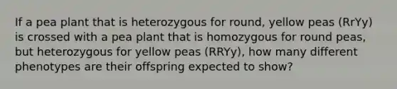 If a pea plant that is heterozygous for round, yellow peas (RrYy) is crossed with a pea plant that is homozygous for round peas, but heterozygous for yellow peas (RRYy), how many different phenotypes are their offspring expected to show?