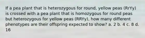 If a pea plant that is heterozygous for round, yellow peas (RrYy) is crossed with a pea plant that is homozygous for round peas but heterozygous for yellow peas (RRYy), how many different phenotypes are their offspring expected to show? a. 2 b. 4 c. 8 d. 16